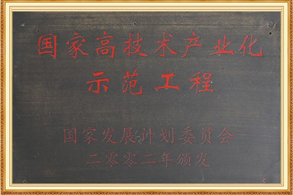 國(guó)家高技術(shù)產(chǎn)業(yè)化示范工程2002年